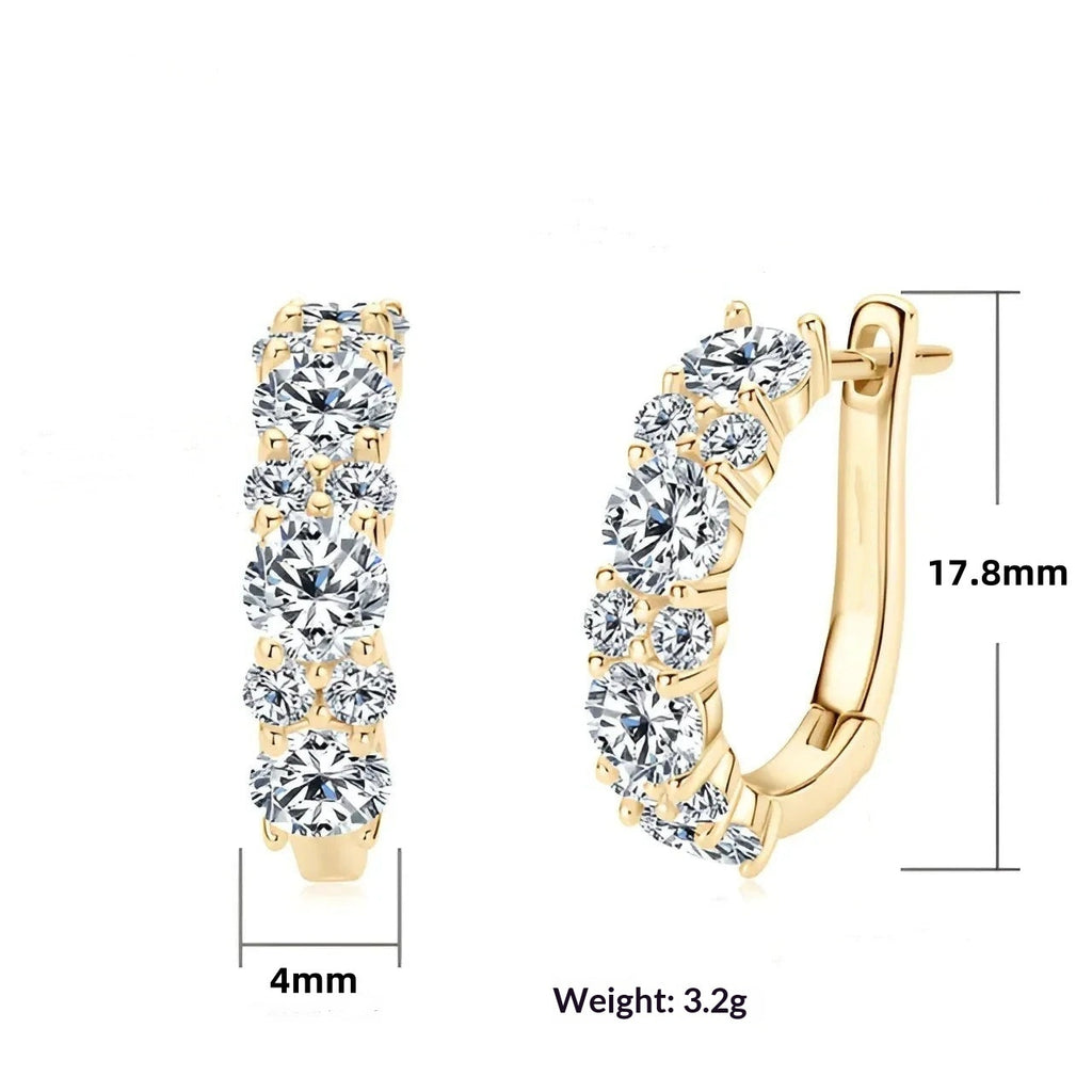 Zircon D European And American-style Designer Earrings